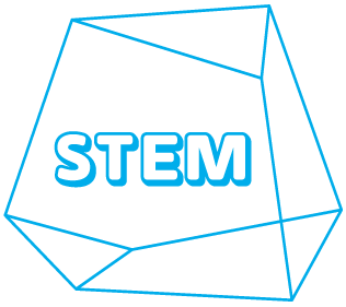 STEM curriculum